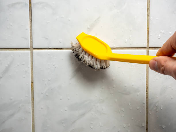 Best Best Mold Removal Companies  in Clemson, SC