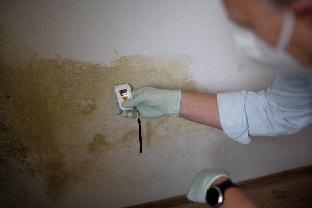 Water Damage Restoration in Clemson, SC